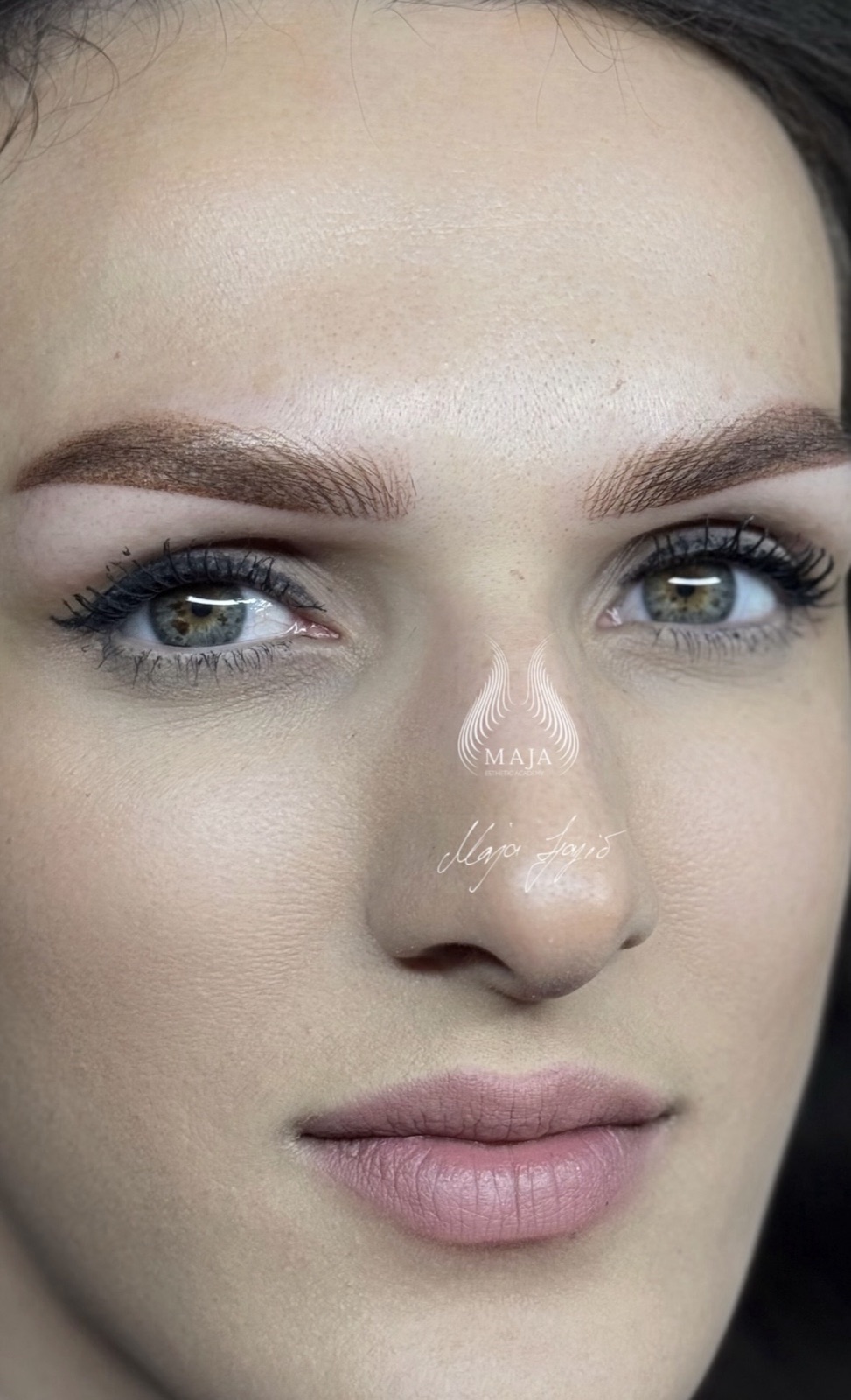 Combo brows — Cashmere Ⓜ technique with powder shading by Maja Ljajić, Eyebrow Institution – result 3