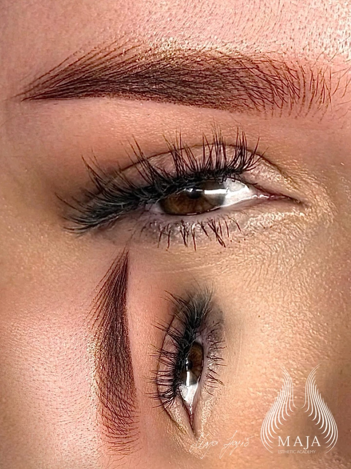 Combo brows — Cashmere Ⓜ technique with powder shading by Maja Ljajić, Eyebrow Institution – result 4